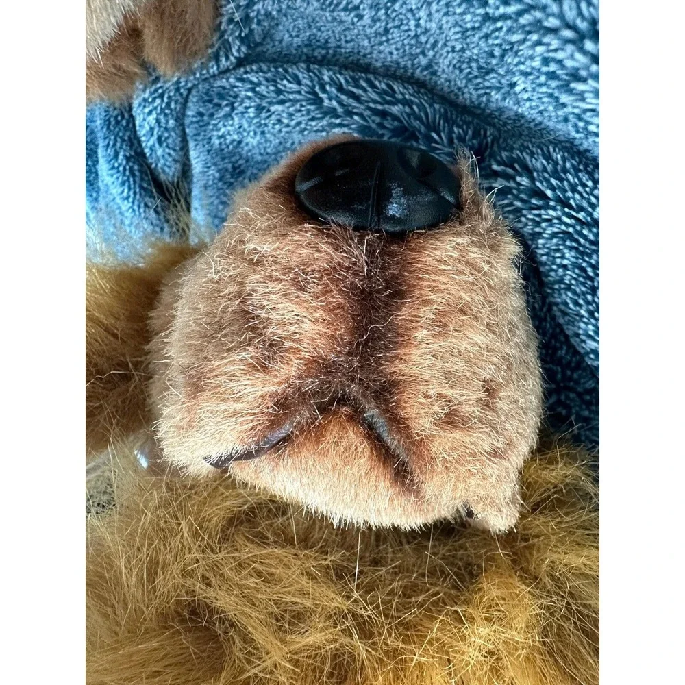 Realistic Cocker Spaniel Plush Dog Pup Set 15